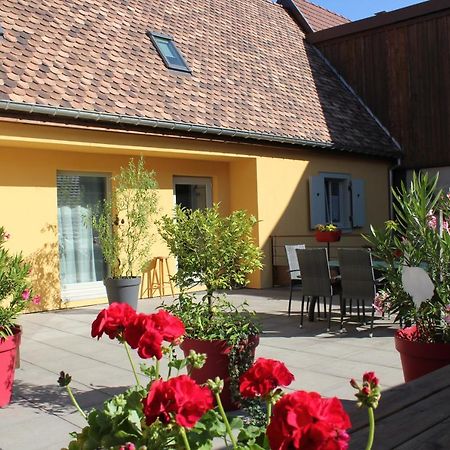 Gite Le Cep D'Or Alsace Сен-Иполит Екстериор снимка
