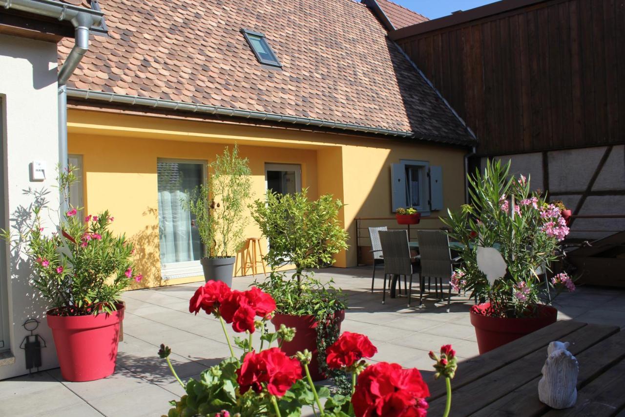 Gite Le Cep D'Or Alsace Сен-Иполит Екстериор снимка